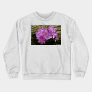 Hummingbird With Purple Flowers Crewneck Sweatshirt